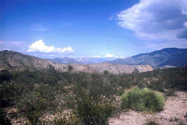 Vista Hermosa Habitat